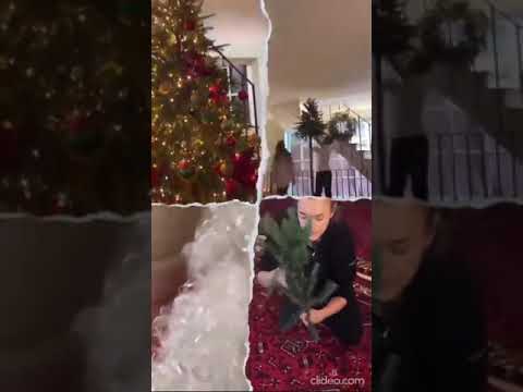 Ο Σάκης Ρουβάς και η Κάτια Ζυγούλη στόλισαν το χριστουγεννιάτικο δέντρο με τα παιδιά τους