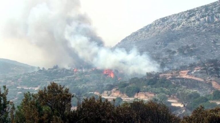 ΣΕΡΡΕΣ: Φωτιά στο Παγγαίο