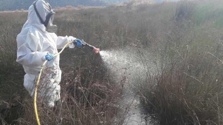 ΣΕΡΡΕΣ: Ψεκασμοί λόγω ιού Δυτικού Νείλου