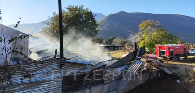 ΣΕΡΡΕΣ: Πυρκαγιά σε κτηνοτροφική μονάδα