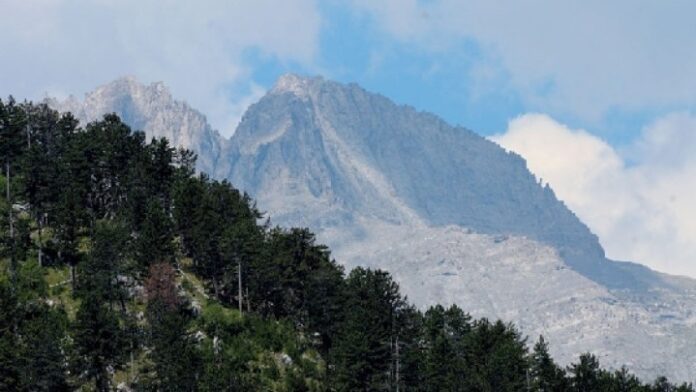 w13-95527w10125611w22210507olympos