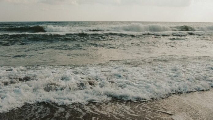 w01-223239sea