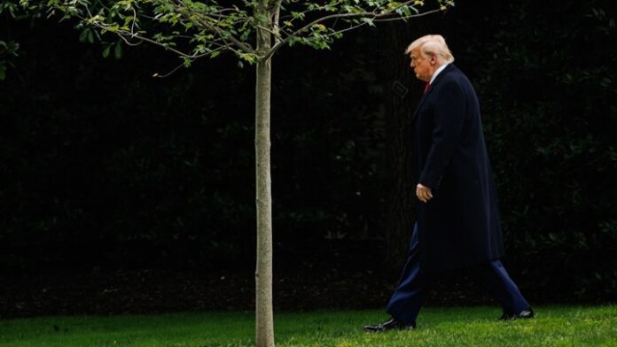 w21-75031TRUMP12