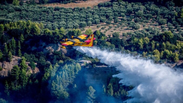 canadair_ilia