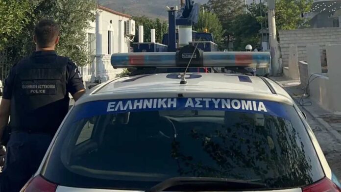 epixeirisi-astynomia