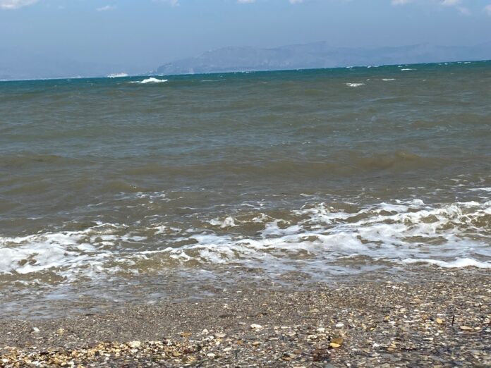 thalasa-kima