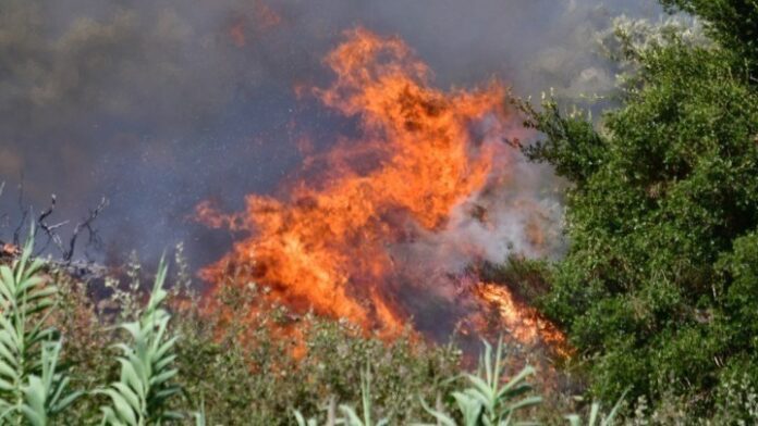 w07-172638fire