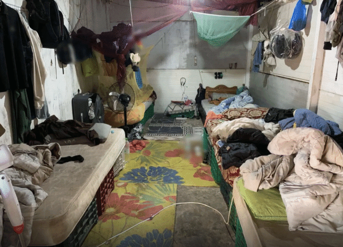 eksarthorsi-allodapoi-ergates