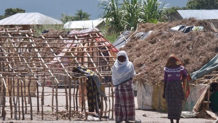 w08-65239MOZAMBIQUEDISPLACEDPERSONS
