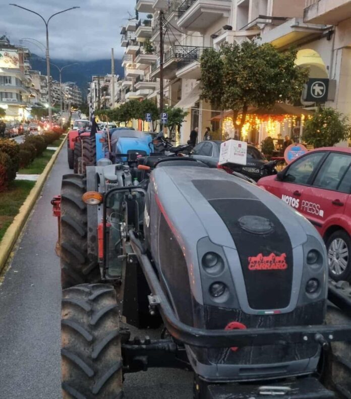 agrotes-sparti-e1765208670693