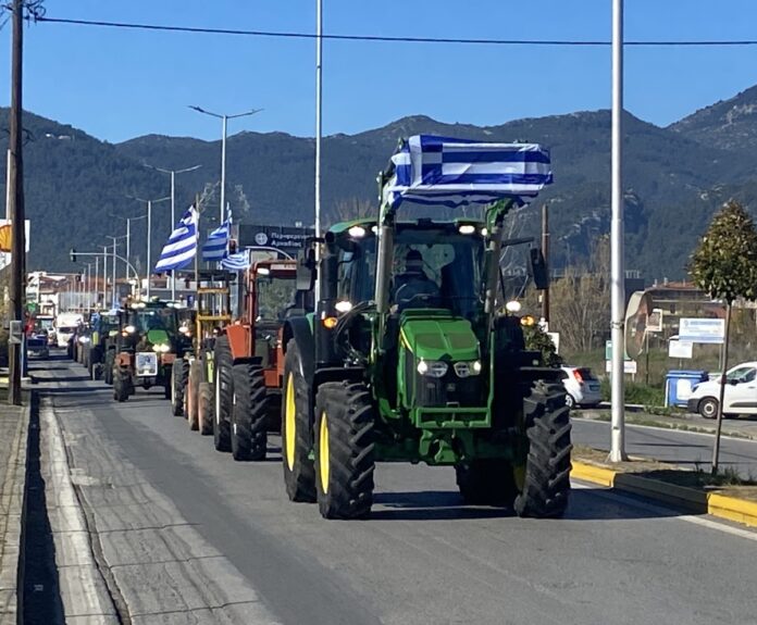 agrotes-tripoli-2