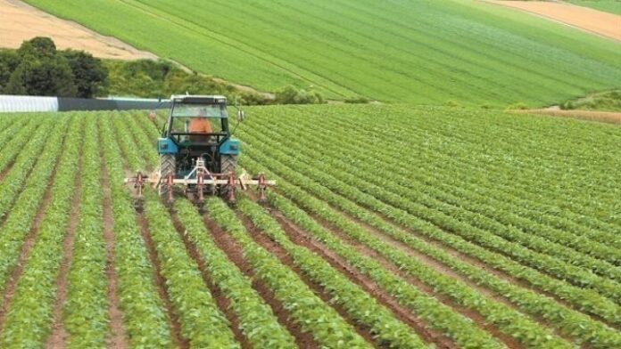 olanea.gr_agrotes_251219
