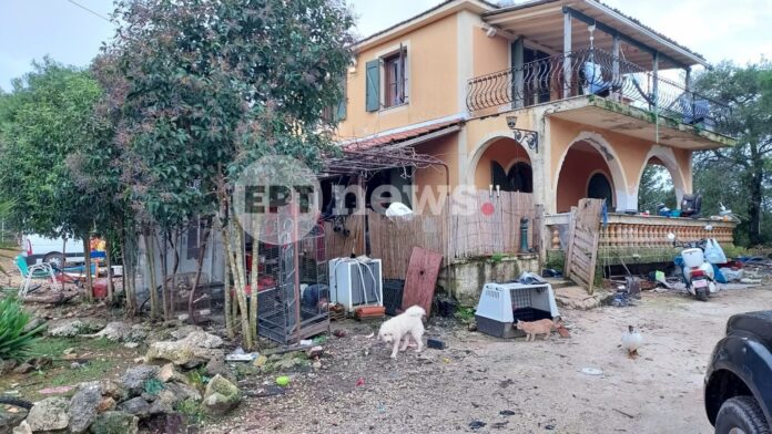 zakynthos-pitbul-2