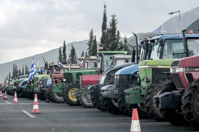 agrotes_mploka