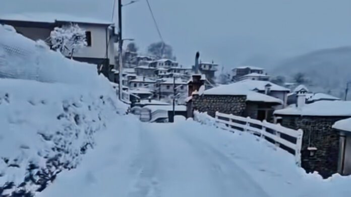 metsovo_arthrou