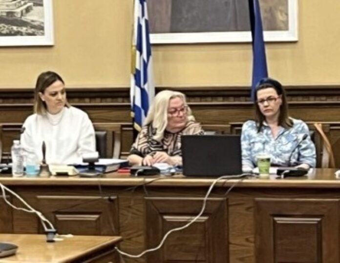 olanea.gr_dsserrwn24052402