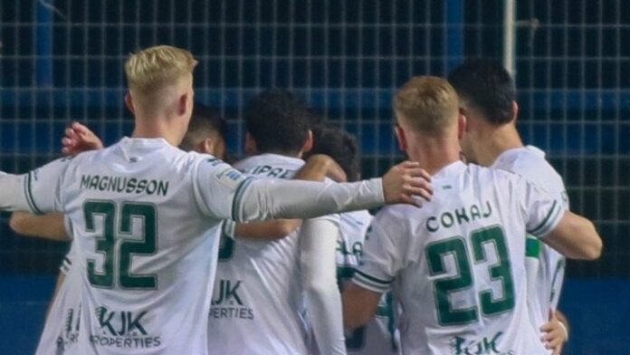 olanea.gr_levadeiakos_260119 levadeiakos_podosfairo_super_league