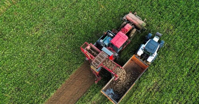 agrotes-trakter-reuters-1200x630-1