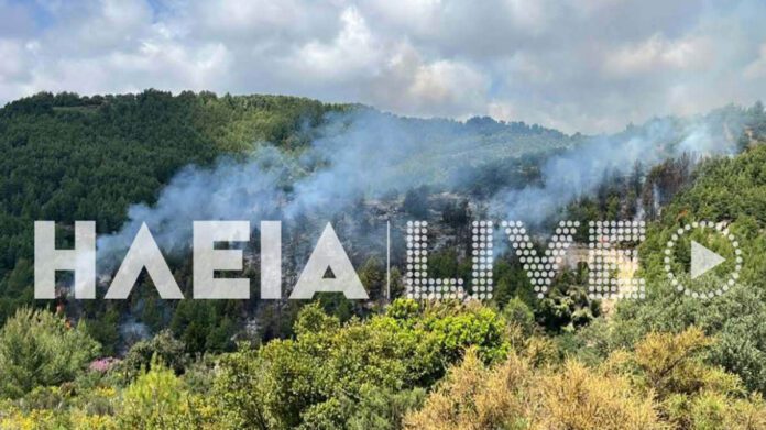 hleiafotia2-xrm
