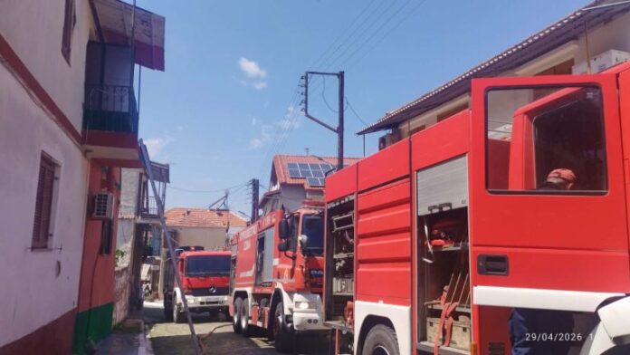 olanea.gr_fwtia_xryso_260429 fwtia_xryso