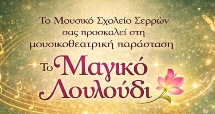 olanea.gr_mousiko_2604012 serres_mousiko_sxoleio