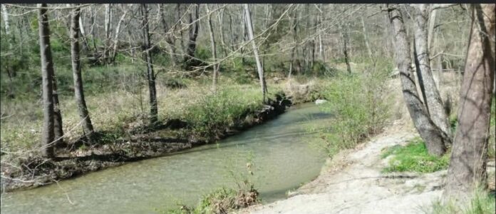 Rema Ag Anargyrwn-Serres-22.6.26