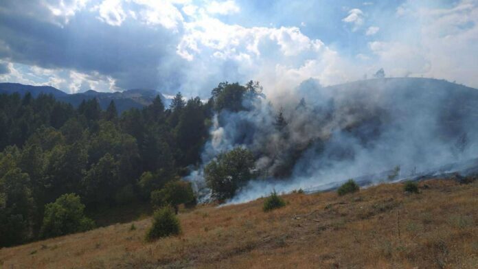 grevena-fotia