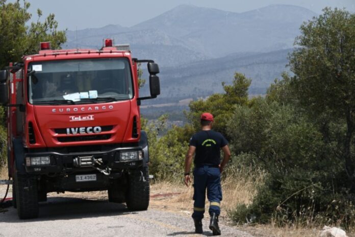 fwtia-2-768x512-1-2-1