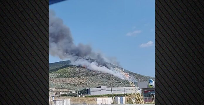 maketa-fotia-korinthia