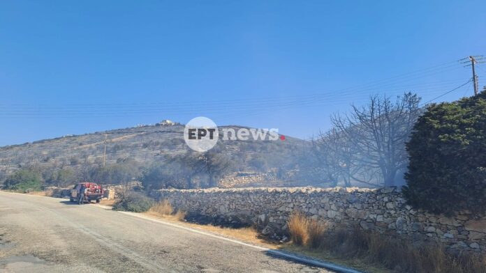 paros-orfanou