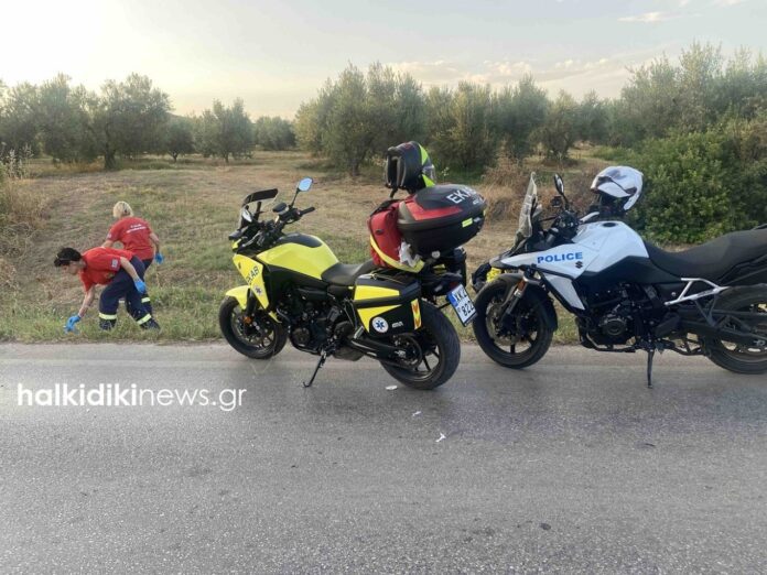 xalkidiki-troxaio2