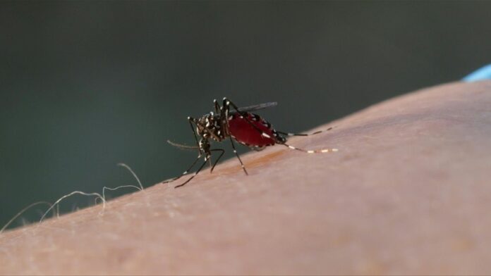afp-tv-20250818-fin-fra-vaccinesclimate-69tl6kf-en
