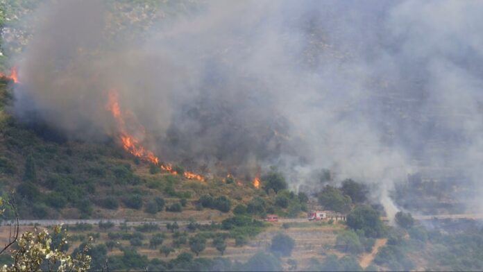 kefalonia-fotia-4