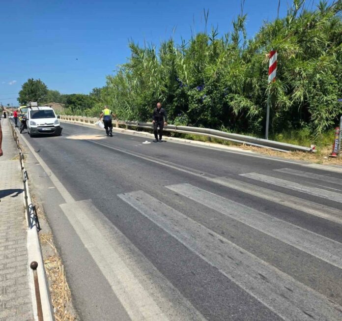 troxaio-xania-e1787733809532