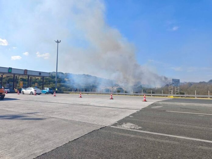 olanea.gr_fotia_strymoniko_260918