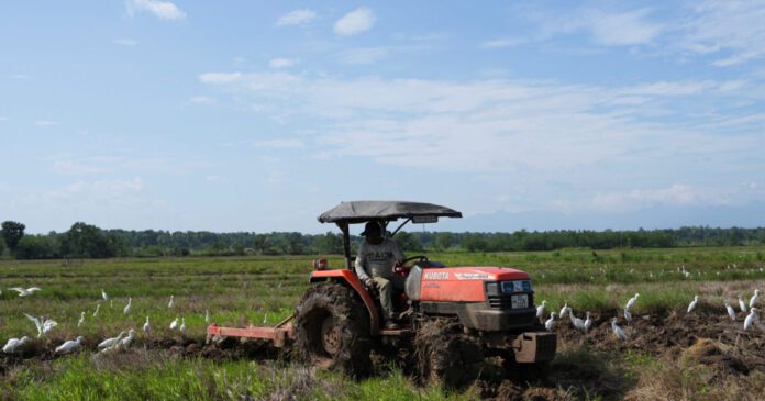 farmer-agrotes-trakter-reuters-s-1200x630-1